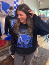Panthers Crewneck Sweatshirts